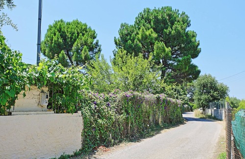 Almiros Beach Apartamento | Apartamento Dalia: apartamento típico para cuatro, con hermosos jardines y a poca distancia de la playa
