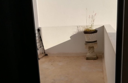 Cancun Casa | Dalilas casa y mascotas