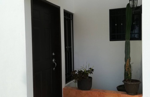 Cancun Casa | Dalilas casa y mascotas