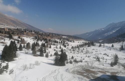 Passo del Tonale Apartamento | Dallo sciatore