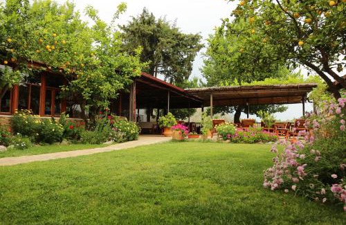 Dalyan City Center Cabina | Dalyan Pension