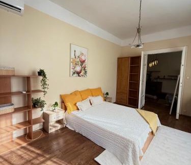 Szolnok Apartamento | Damjanich Deluxe Apartman