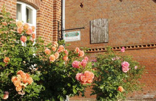 Blievenstorf Apartamento | Damwildhof Fewo zur Kastanie