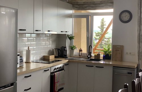 Cluj-Napoca Casa | Dana House in Central Cluj