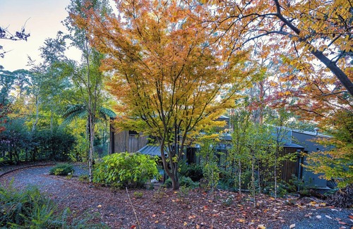 Kalorama Casa | Dandenong Ranges Modernist Bush Escape