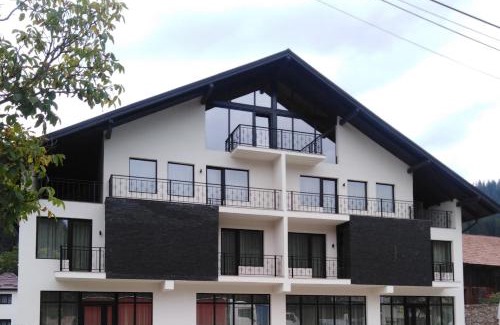 Gura Humorului Apartamento | Danifeld Inn