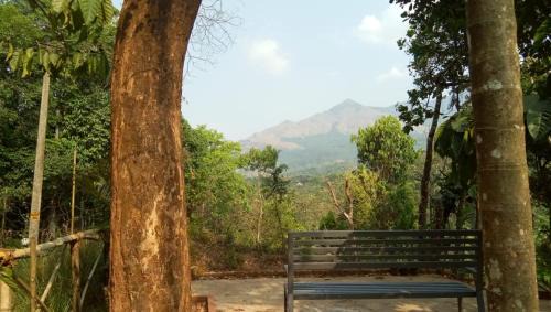 Vythiri Hotel | Danish Resorts By Bob