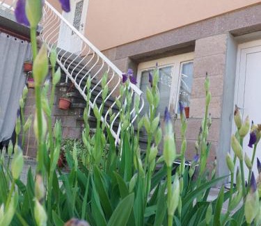Gornji Milanovac Apartamento | Danka