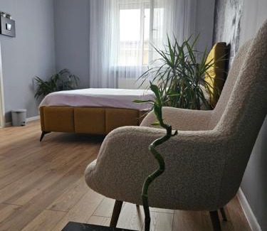 Braila Apartamento | Danube Studio