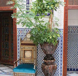Layoun Casa | Dar Dalila Fes