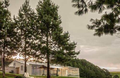 Merrivale Cabina | Dargle Forest Lodge