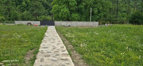 Racha-Lechkhumi and Lower Svaneti Apartamento | Dariani Cottage