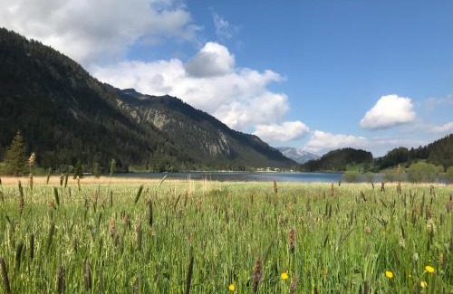Haller Apartamento | Das Haldensee