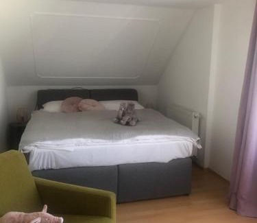 Mainz-Bingen Hotel | Das Spritzenhaus