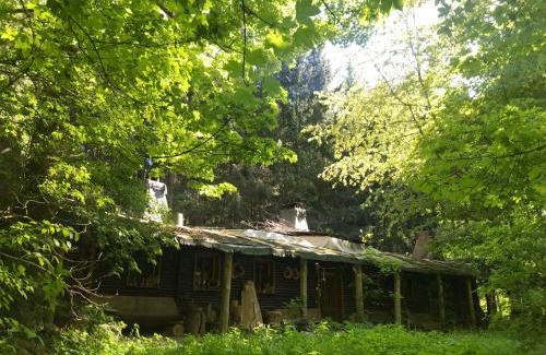 Bertsdorf-Hoernitz Apartamento | Das wilde Auwaldhaus