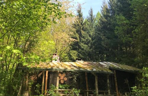 Bertsdorf-Hoernitz Apartamento | Das wilde Auwaldhaus