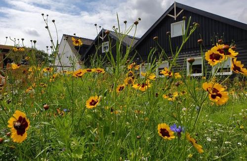 Oostkapelle Casa | De Bonte beleving