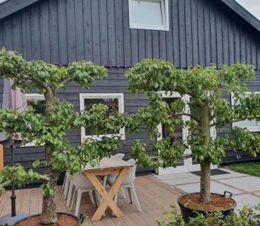 Oostkapelle Casa | De Bonte beleving