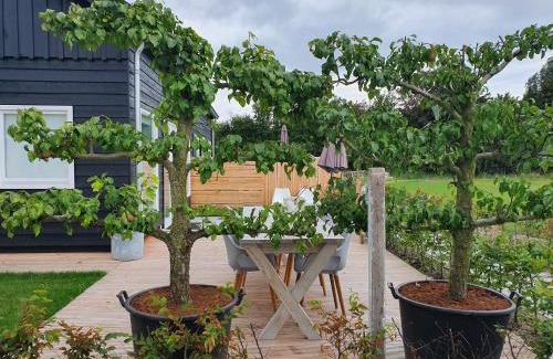 Oostkapelle Casa | De Bonte beleving