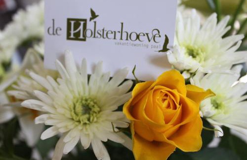 Paal Casa | De Holsterhoeve
