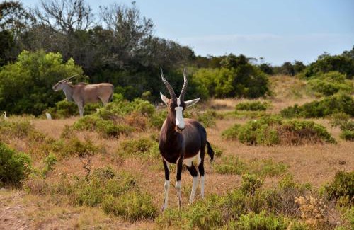 Overberg Chalet De Esquí | De Hoop Collection Suites