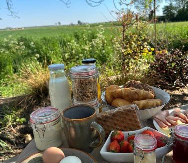 Drongelen Cama Y Desayuno | De Kippenschuur