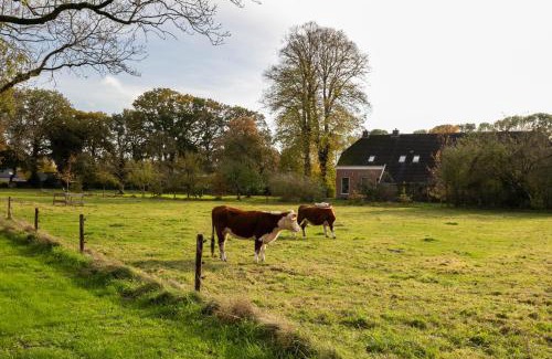 Valthe Apartamento | De Lindenhoeve