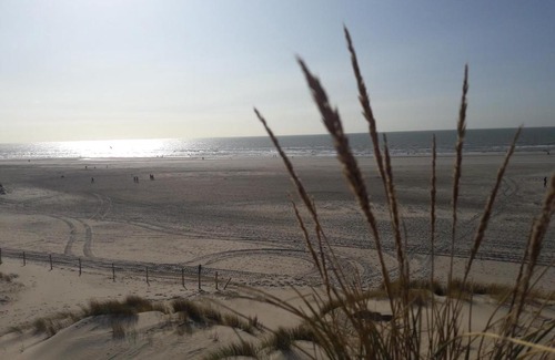 Groet Casa | De Stern en de Beuk