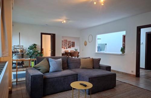 Wijgmaal Casa | De Volkswasserij, woning met tuin