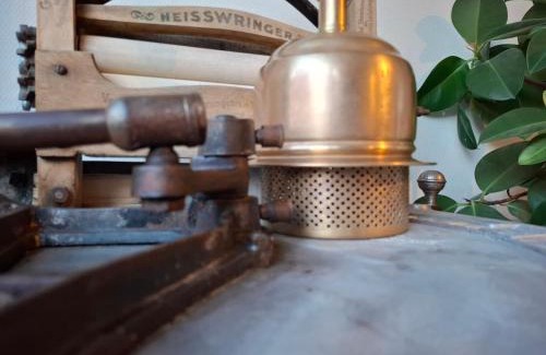 Wijgmaal Casa | De Volkswasserij, woning met tuin