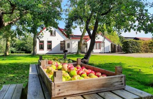 De Cocksdorp Apartamento | De Vrijheid-Melkstal