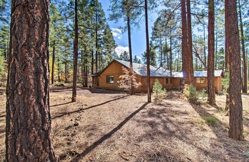 Pinetop-Lakeside Cabaña | Deck & Grill: Pet-friendly Lakeside Cabin
