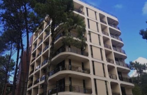 Shekhvetili Apartamento | Decom Riviera