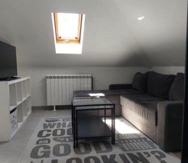 Savski Venac Apartamento | Dedinje Top