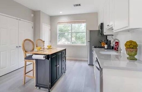 Westfield Apartamento | Deep Eddy SoTa I Spacious Studio in Austin