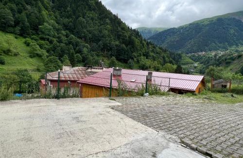 Caykara Apartamento | Defne Apart