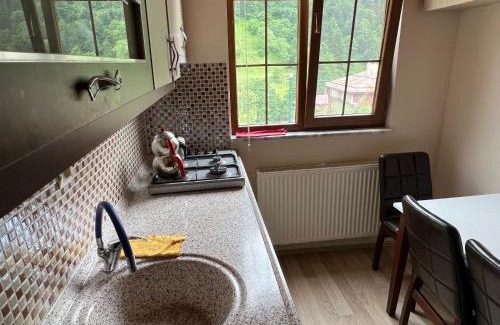 Caykara Apartamento | Defne Apart