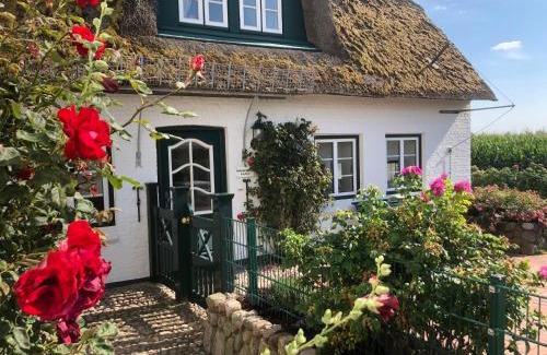 Großdunsum Apartamento | Deichhof Whg Luana