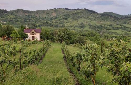 Scortoasa Casa | Deleni Retreat - Bungalow Ania