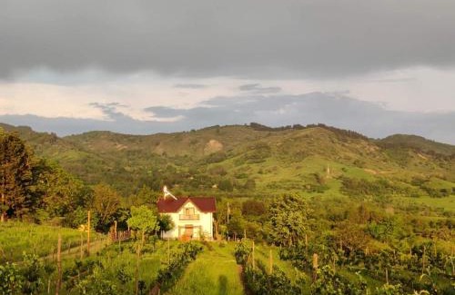 Scortoasa Casa | Deleni Retreat - Bungalow Ania