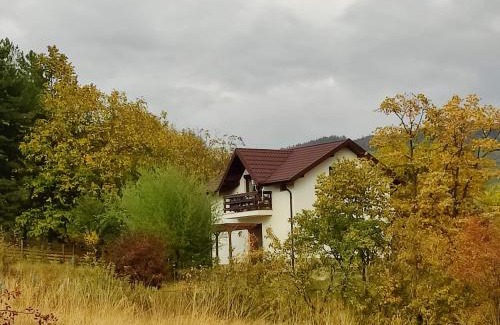 Scortoasa Casa | Deleni Retreat - Casa Sitaru