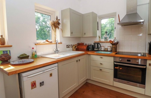 Pentrefelin Cabaña | DELFRYN LLANDEILO, pet friendly, with open fire in Llandeilo