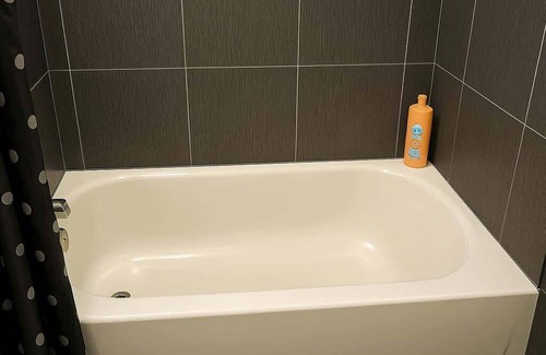 Ravenswood Apartamento | Delightful 1BR Apt in Ravenswood