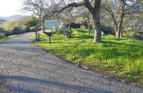 Three Rivers Casa | Delightful 3-bedroom house with AC inside sequoia national park