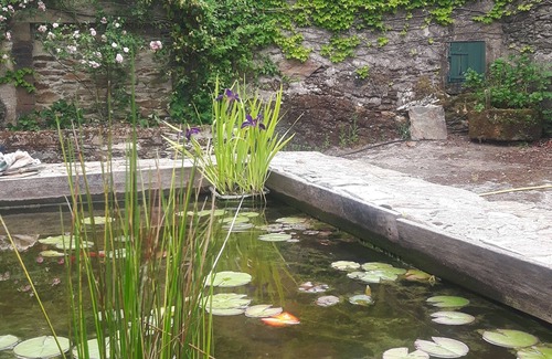 Paulinet Cabaña | DELIGHTFUL COUNTRY COTTAGE