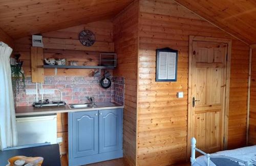 Clonroche Apartamento | Delightful Studio Log Cabin , with Sauna