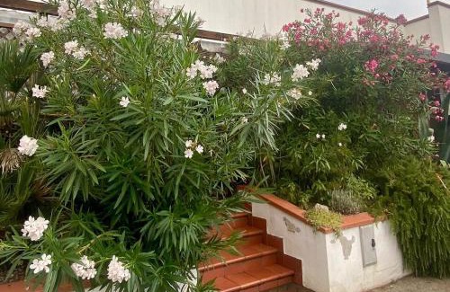 Lido delle Nazioni Apartamento | Delphina House