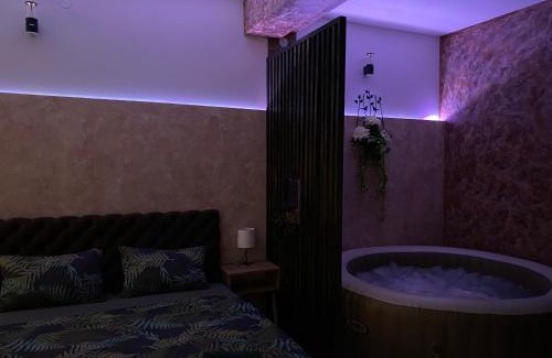 Pozarevac Apartamento | Delux Apartman