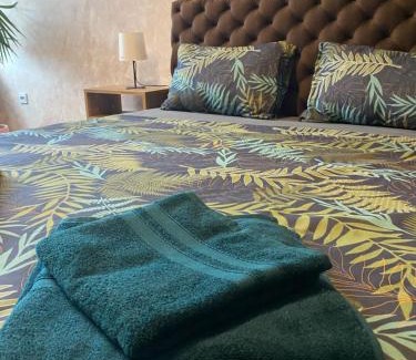 Pozarevac Apartamento | Delux Apartman