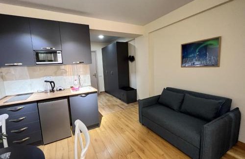 Kazbegi Apartamento | Delux apartment next to ice rink
